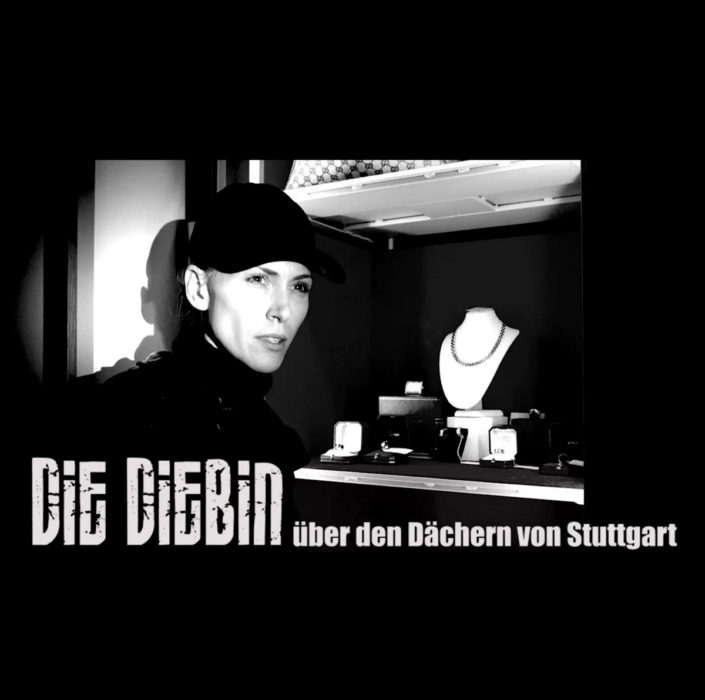 Die-Diebin-Titelbild Über den Dächern von Stuttgart